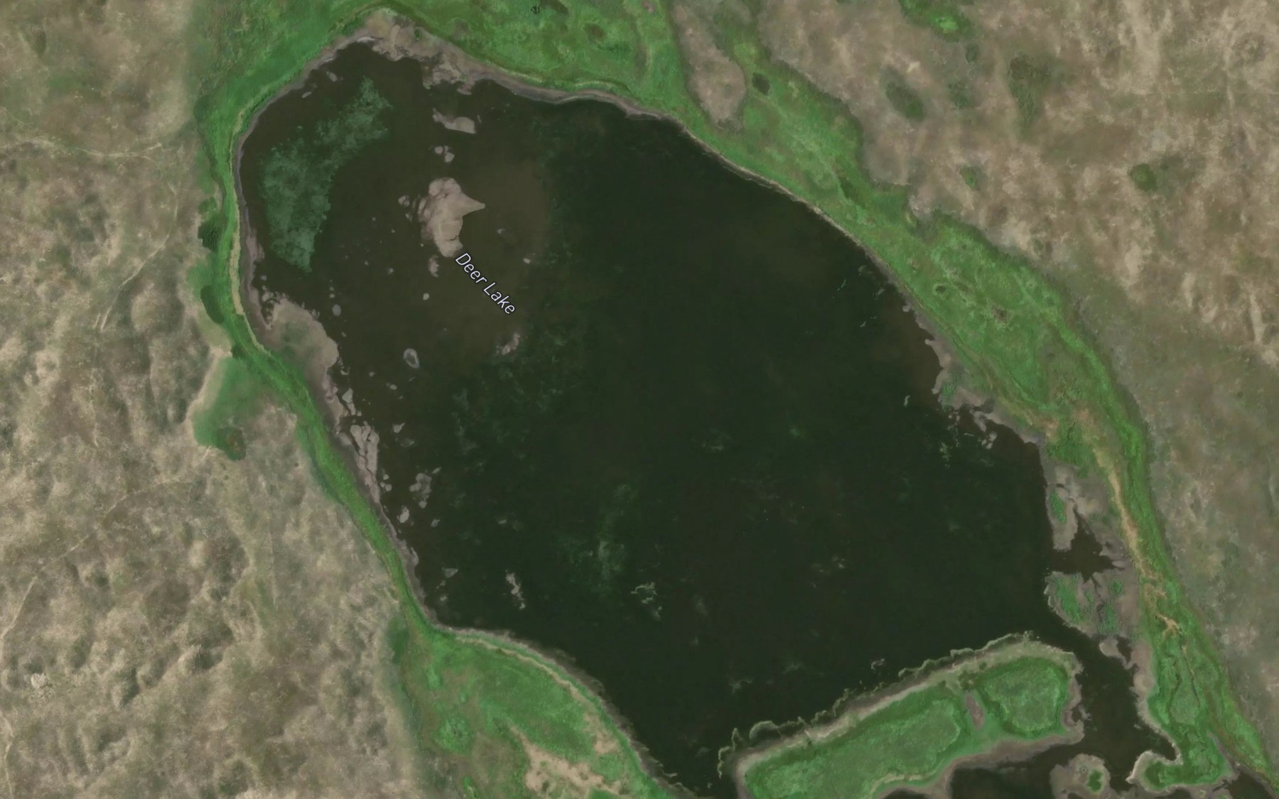 Satellite map of the Deer Lake
