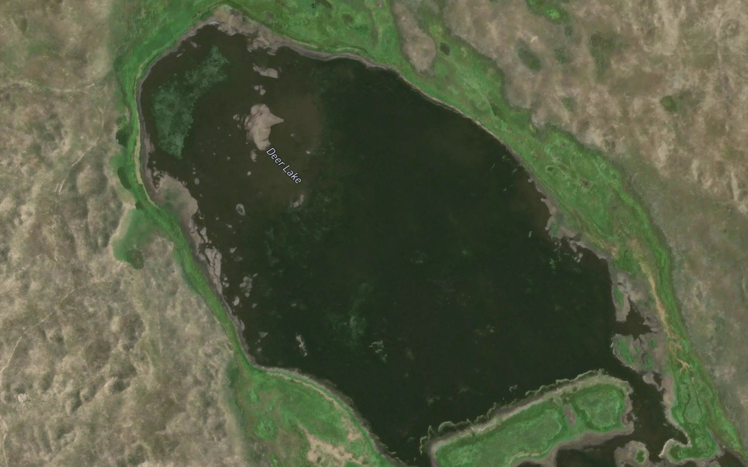 Deer Lake