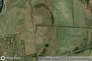 Bas Sirvan Kollektoru