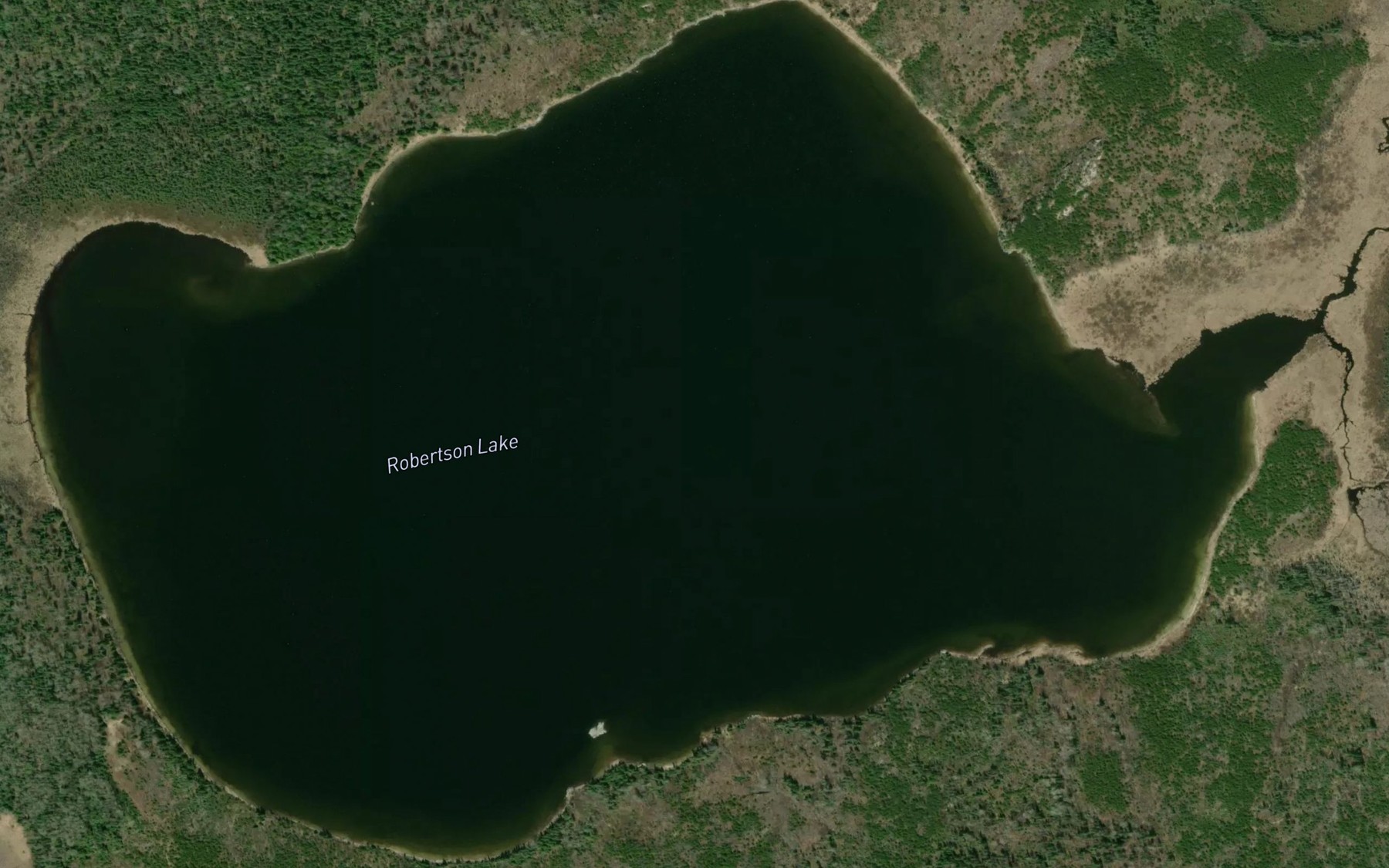 Satellite map of the Robertson Lake