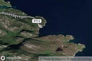 Verpesvika