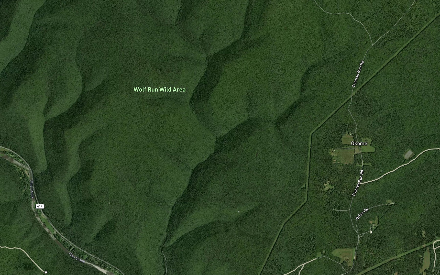 Satellite map of the Sebring Branch