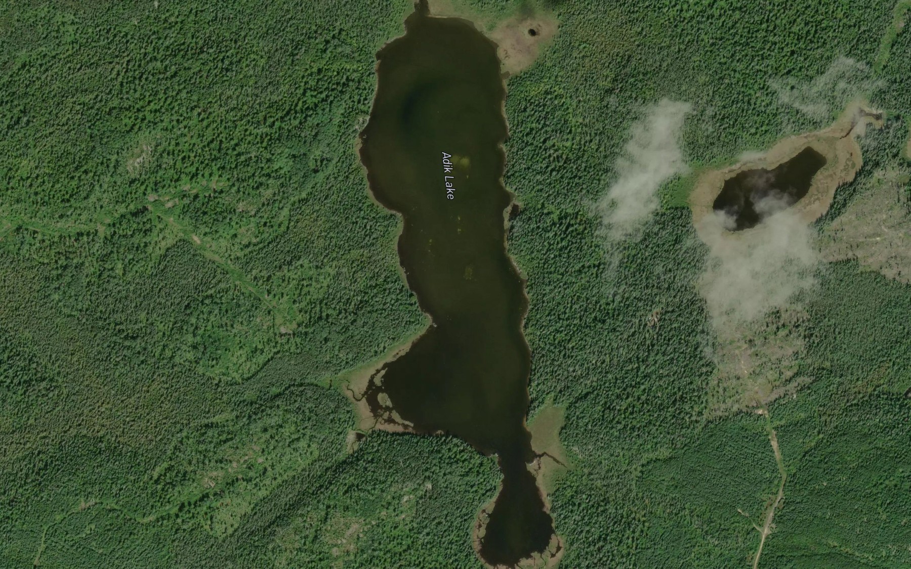 Satellite map of the Adik Lake