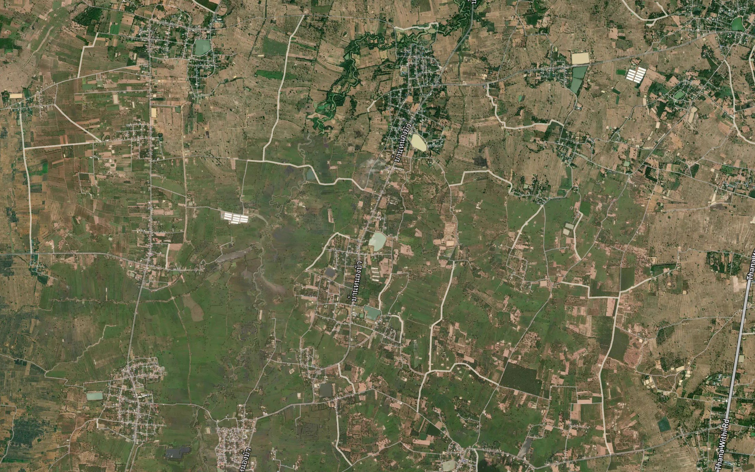 Nong Bua