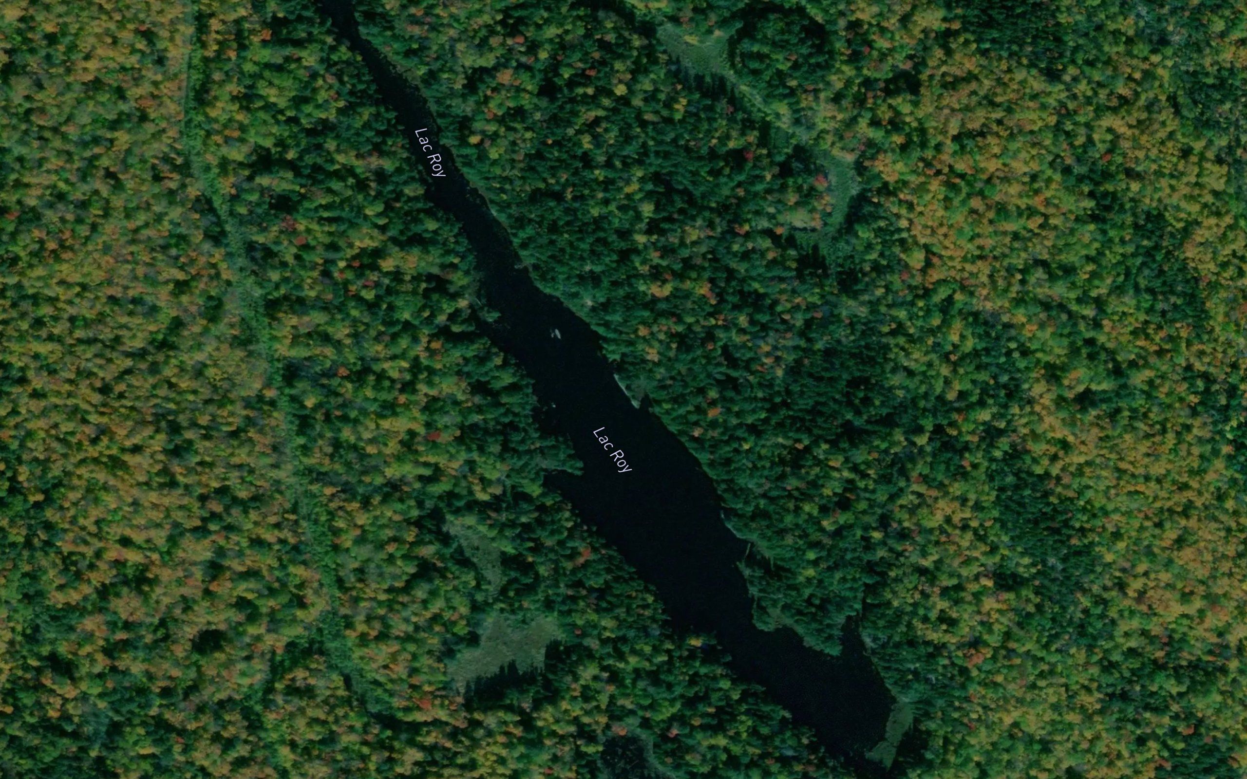 Lac Roy