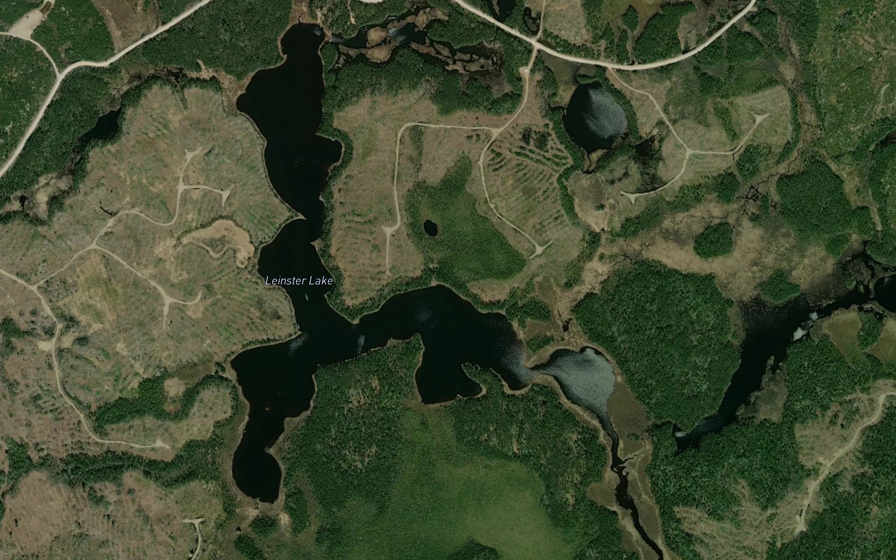 Satellite map of the Leinster Lake