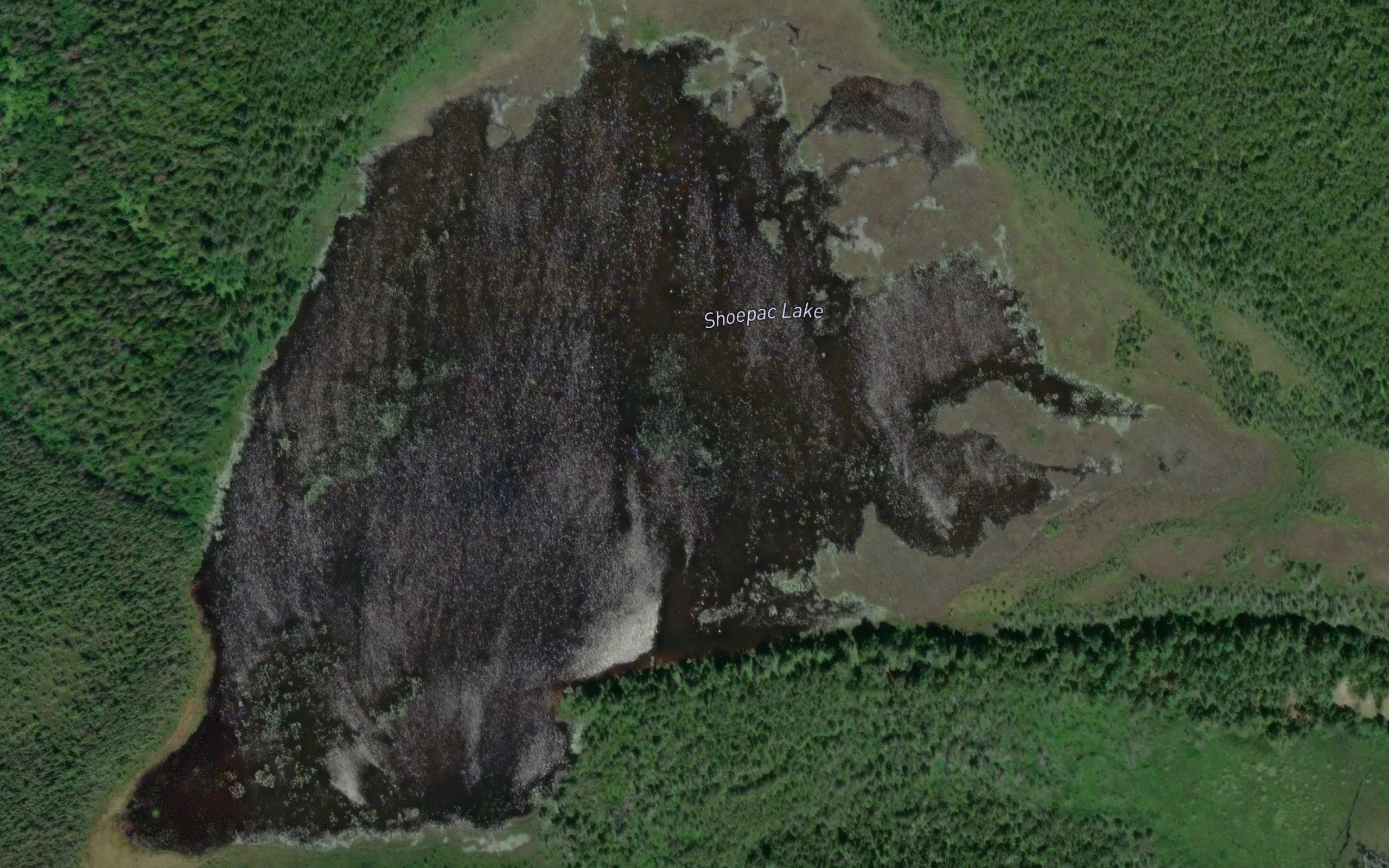 Shoepac Lake