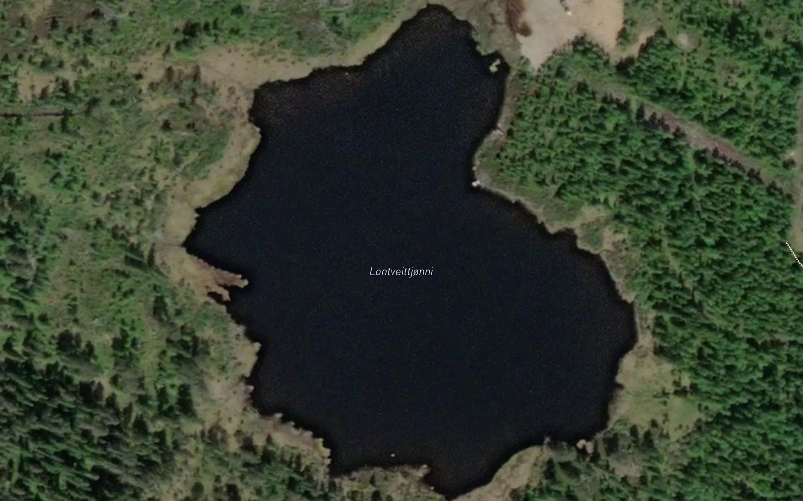 Lontveittjonni