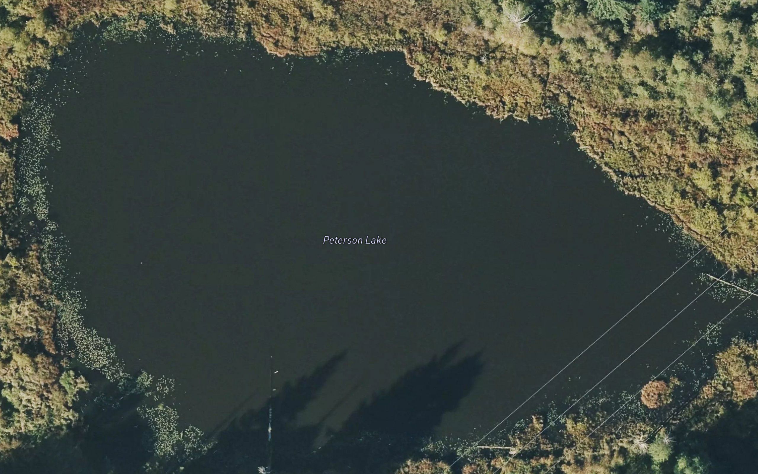 Peterson Lake