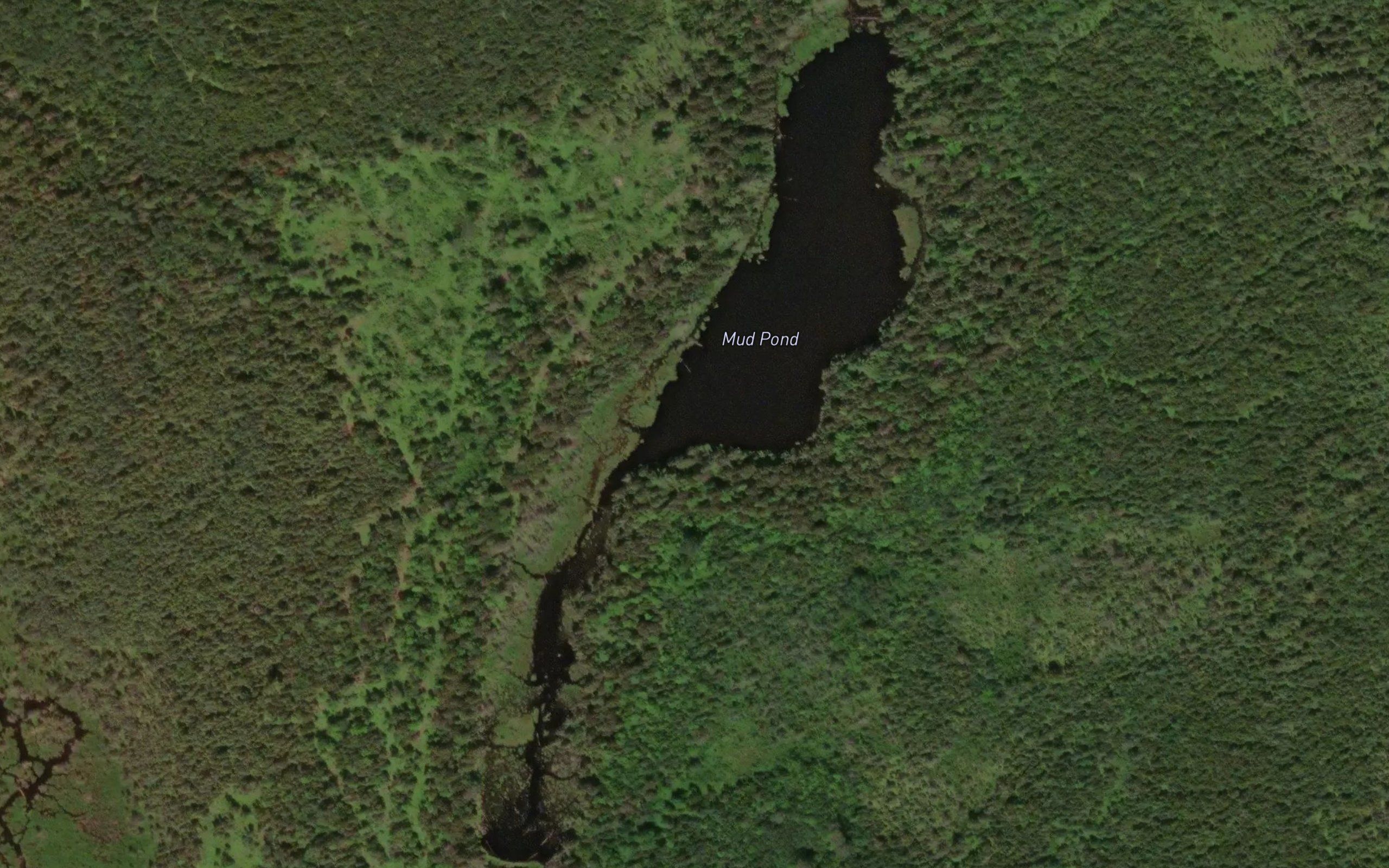 Mud Pond