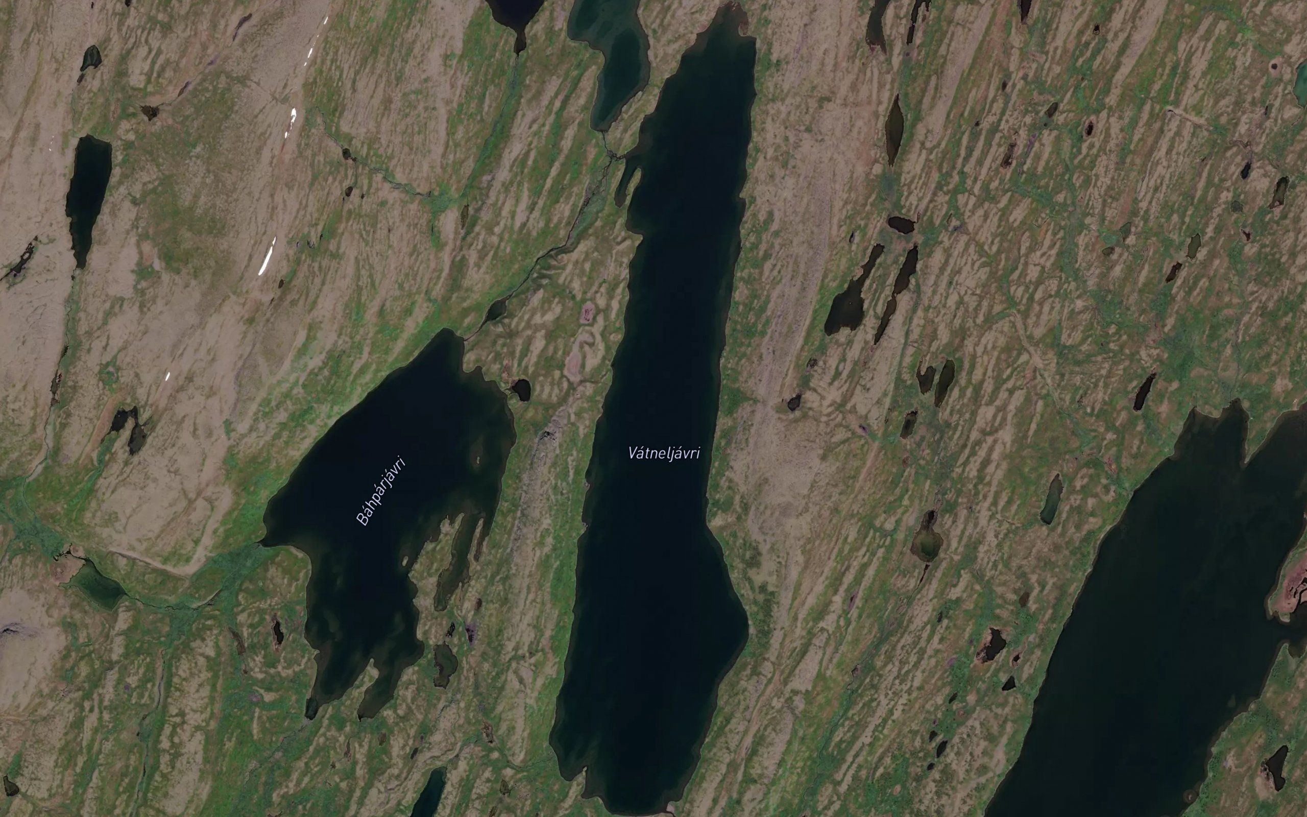 Vatneljavri