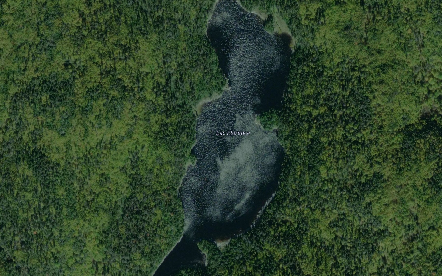 Satellite map of the Lac Florence