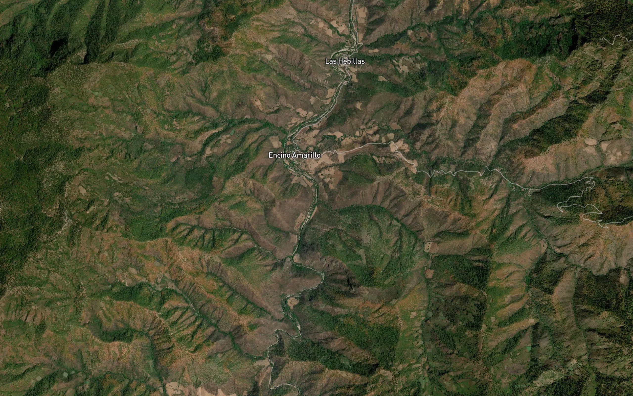 Palo Verde