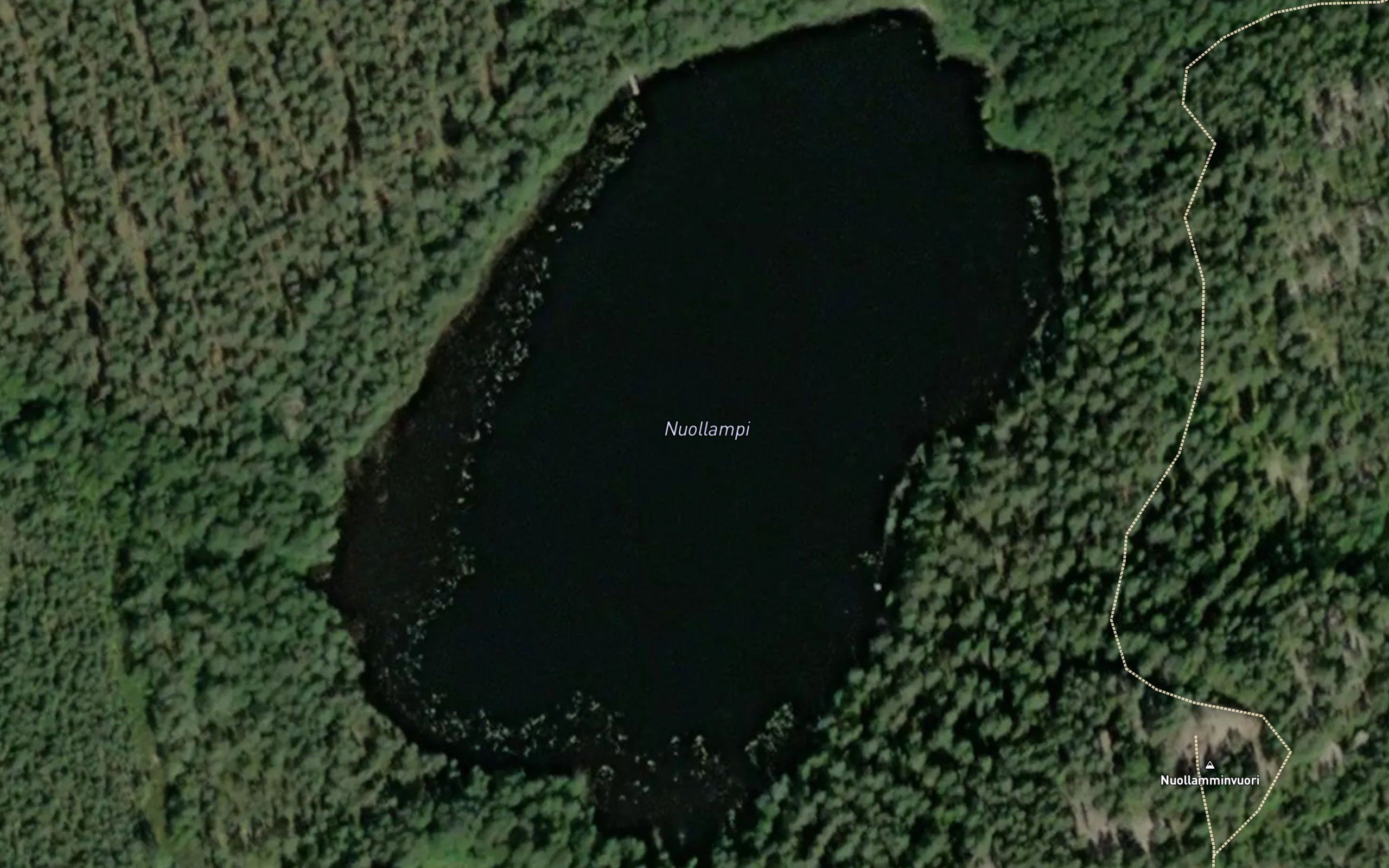 Nuollampi