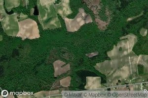 Cow Branch