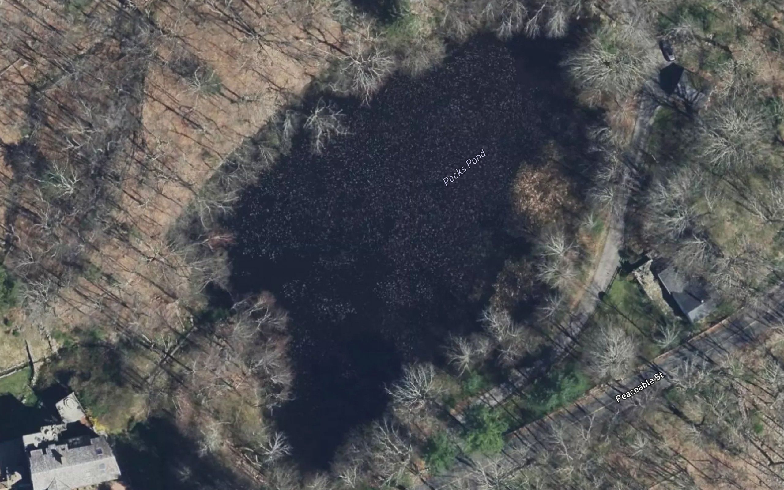 Pecks Pond