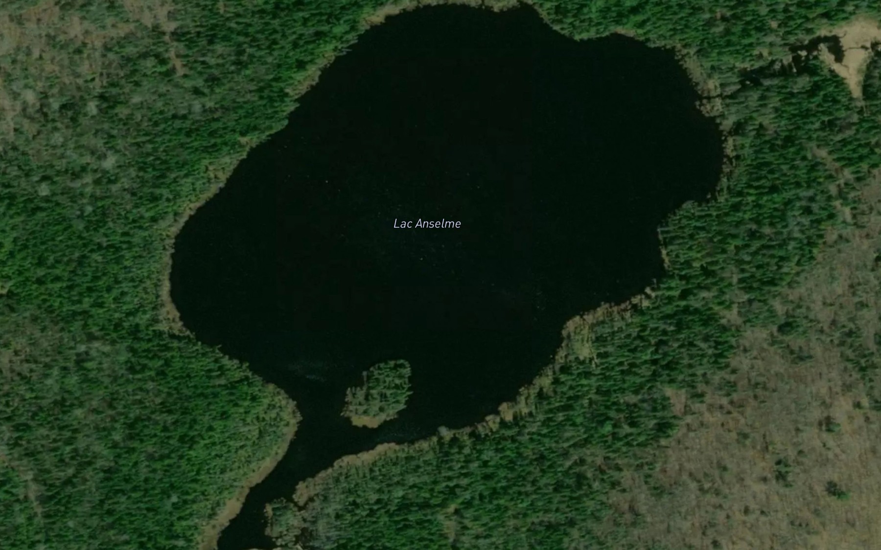 Satellite map of the Lac Anselme