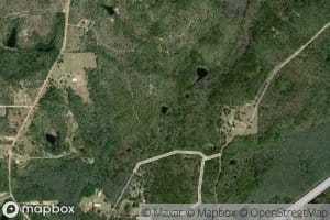 Gator Hole