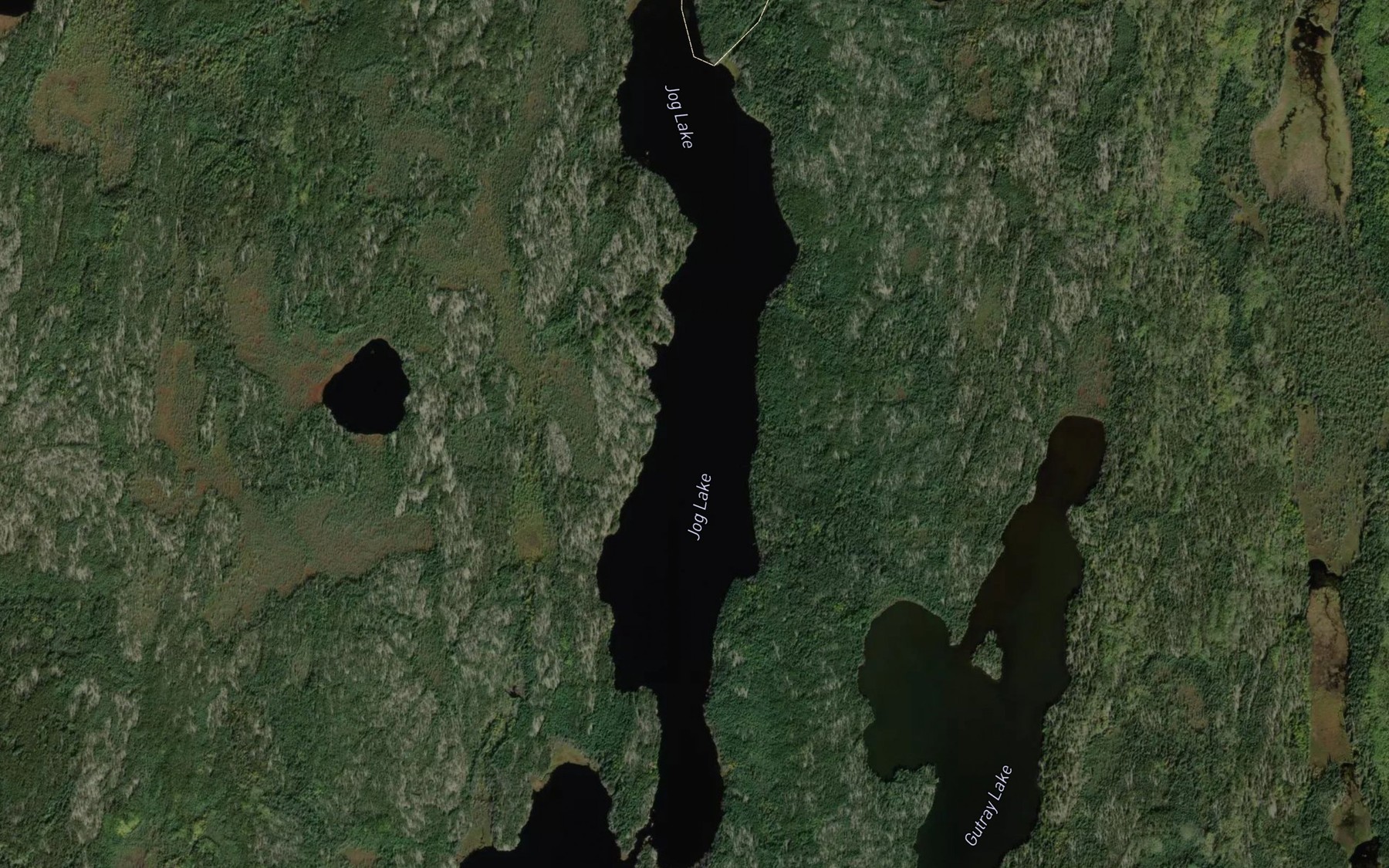 Satellite map of the Jog Lake