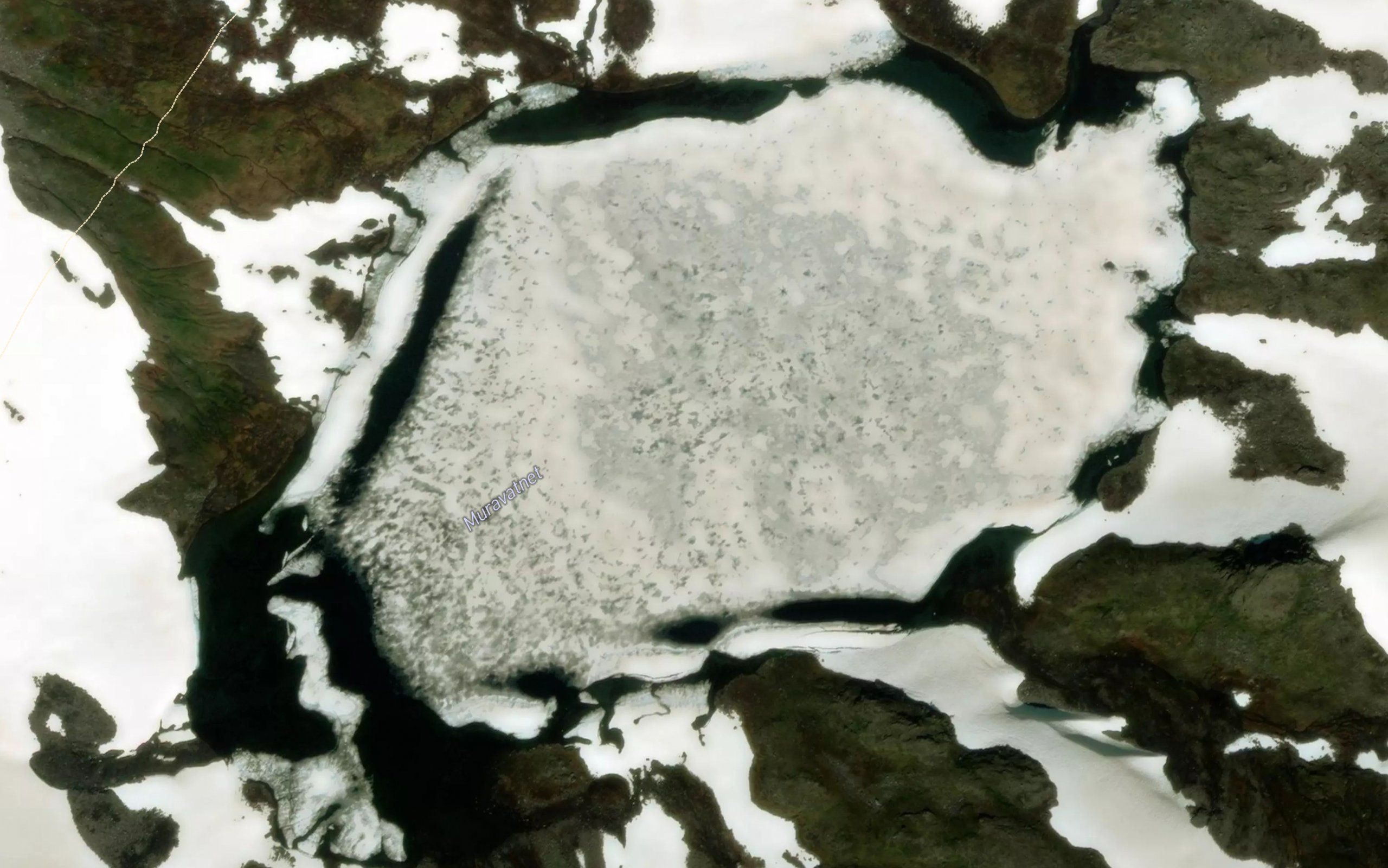Muravatnet