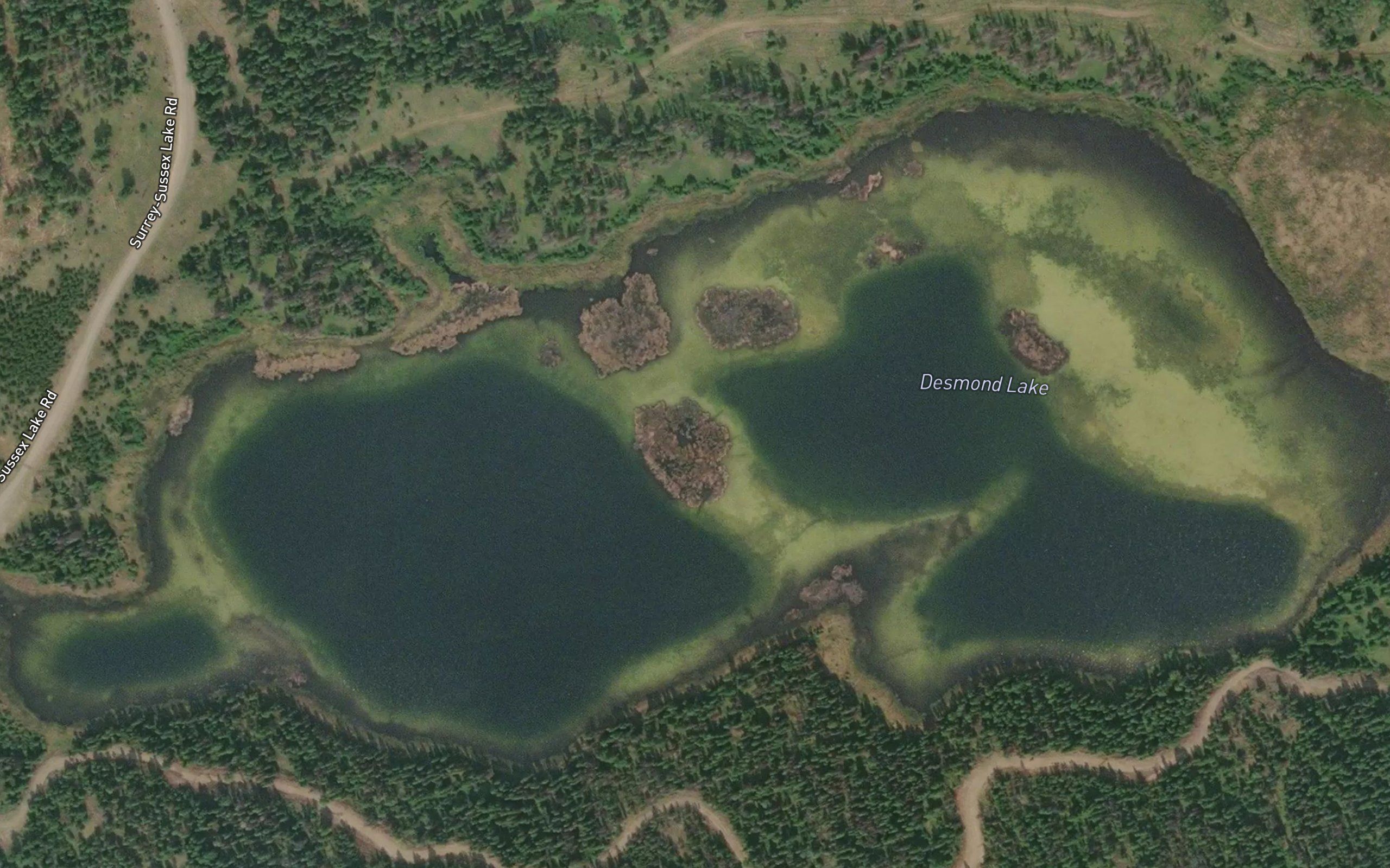 Desmond Lake