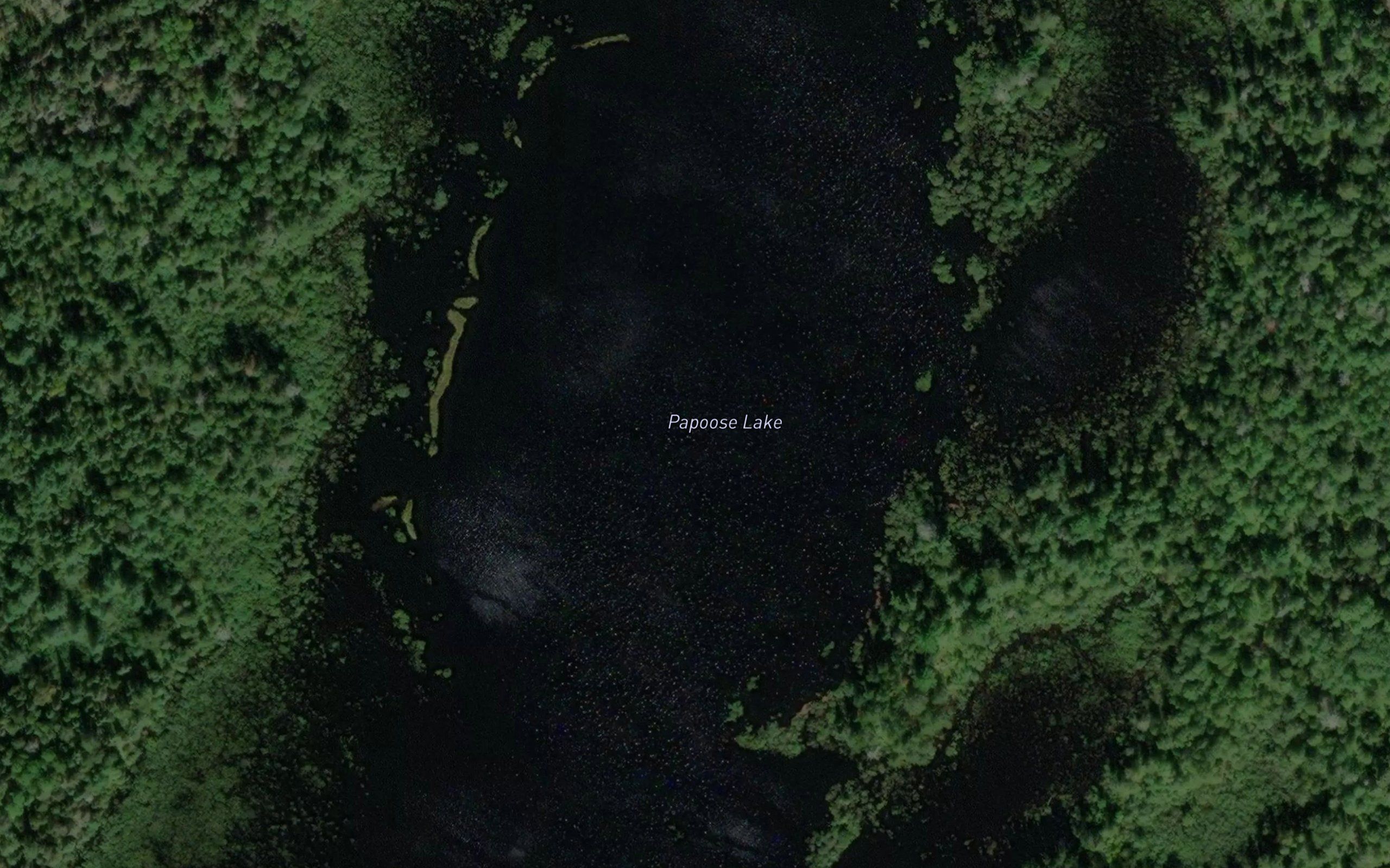 Papoose Lake