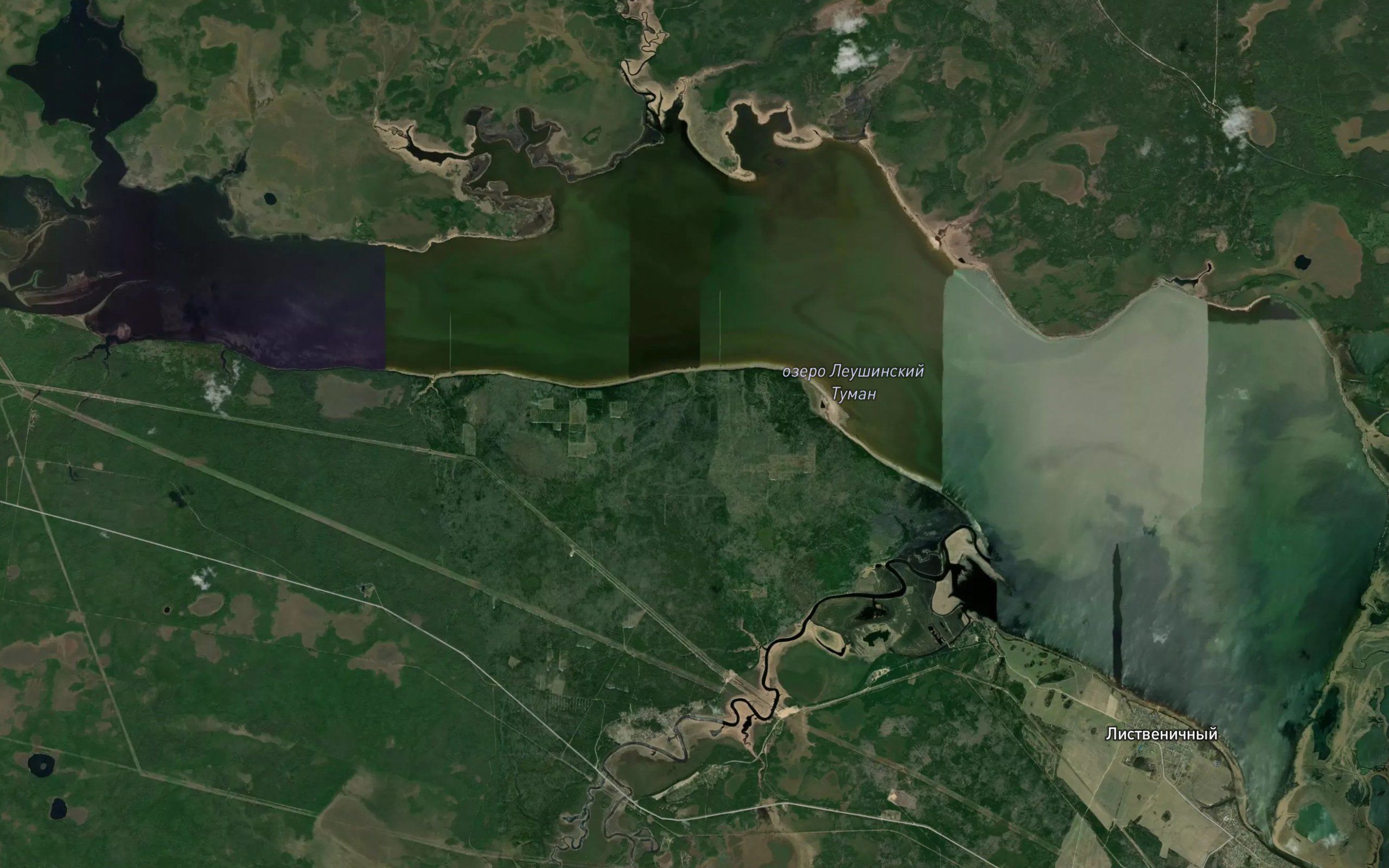 Ozero Leushinskiy Tuman