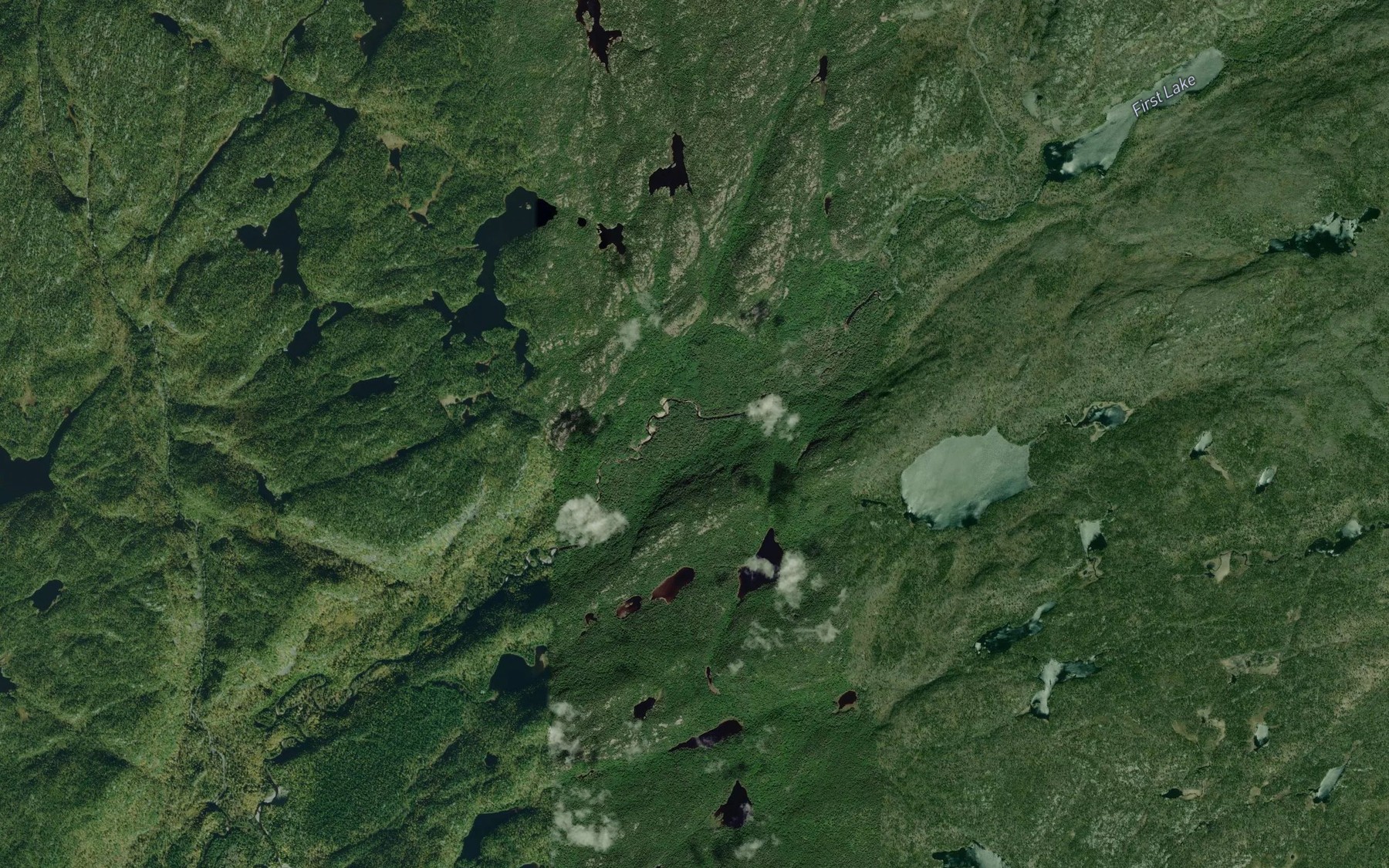 Satellite map of the Horne Creek