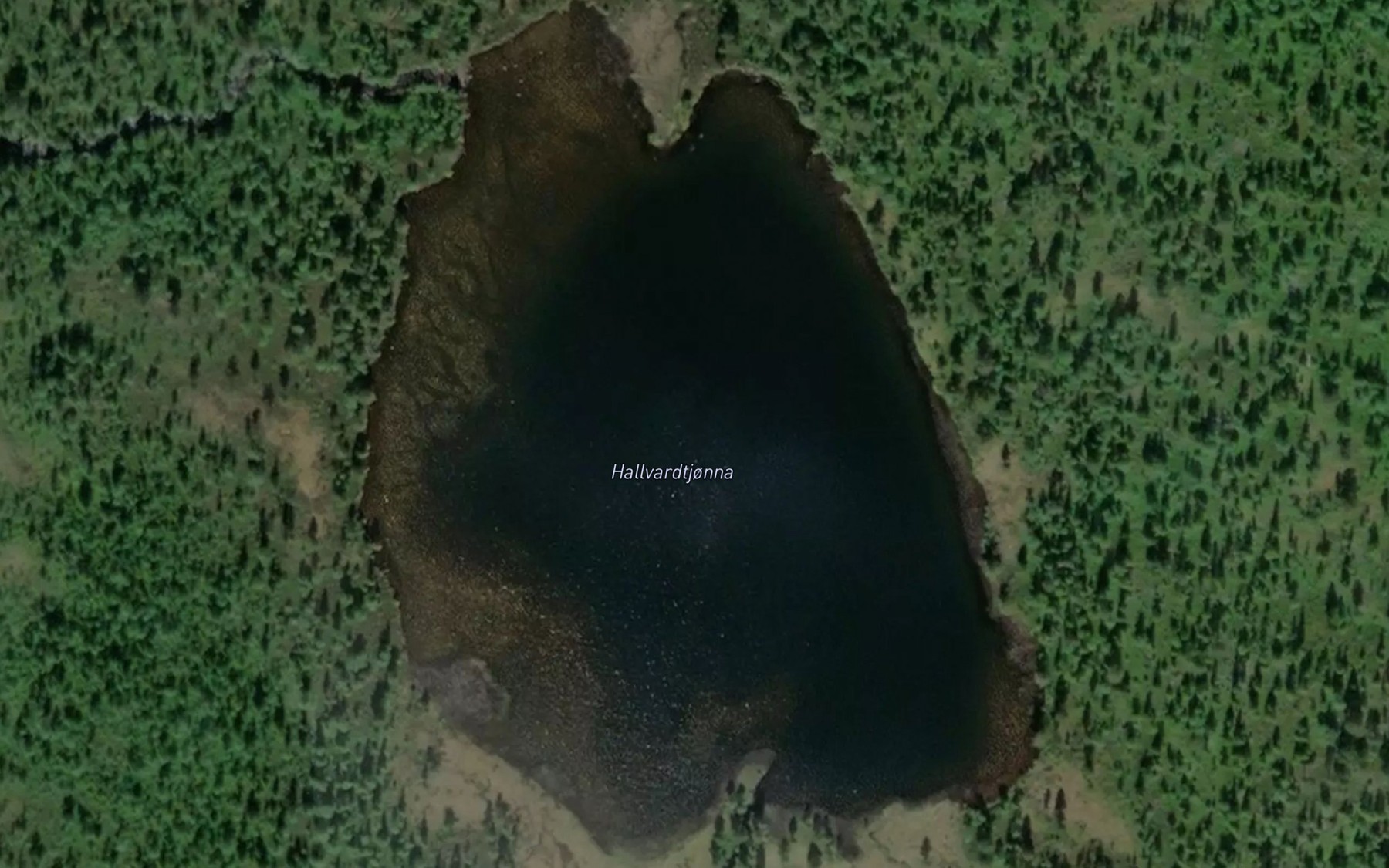 Satellite map of the Hallvardtjorna