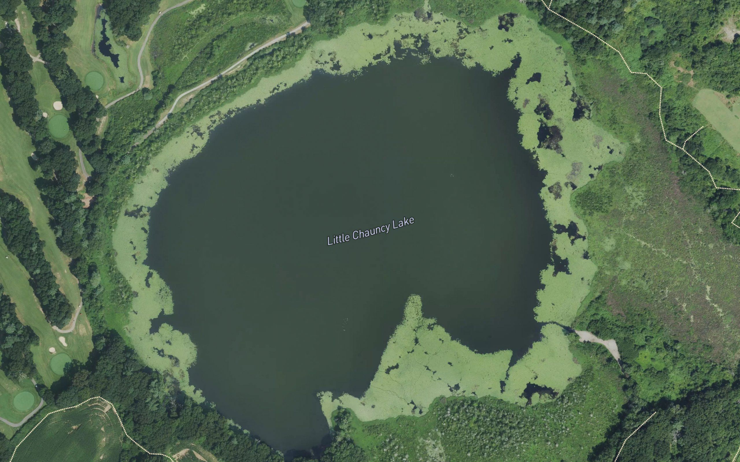 Little Chauncy Pond