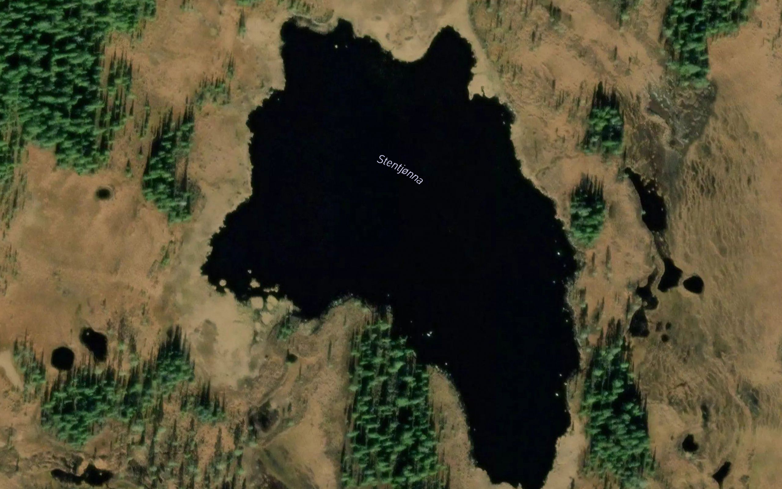 Steintjorn