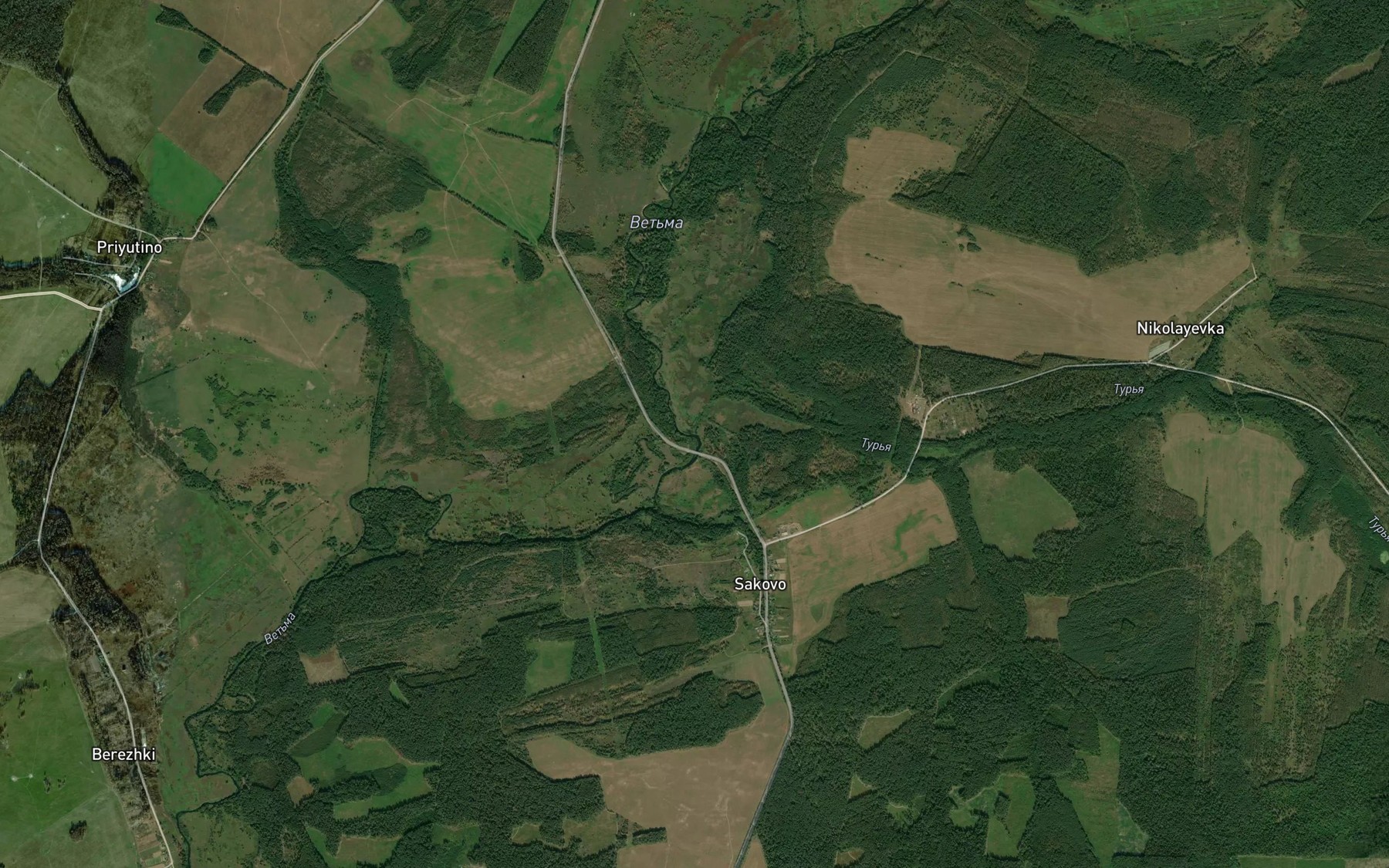 Satellite map of the Tur'ya