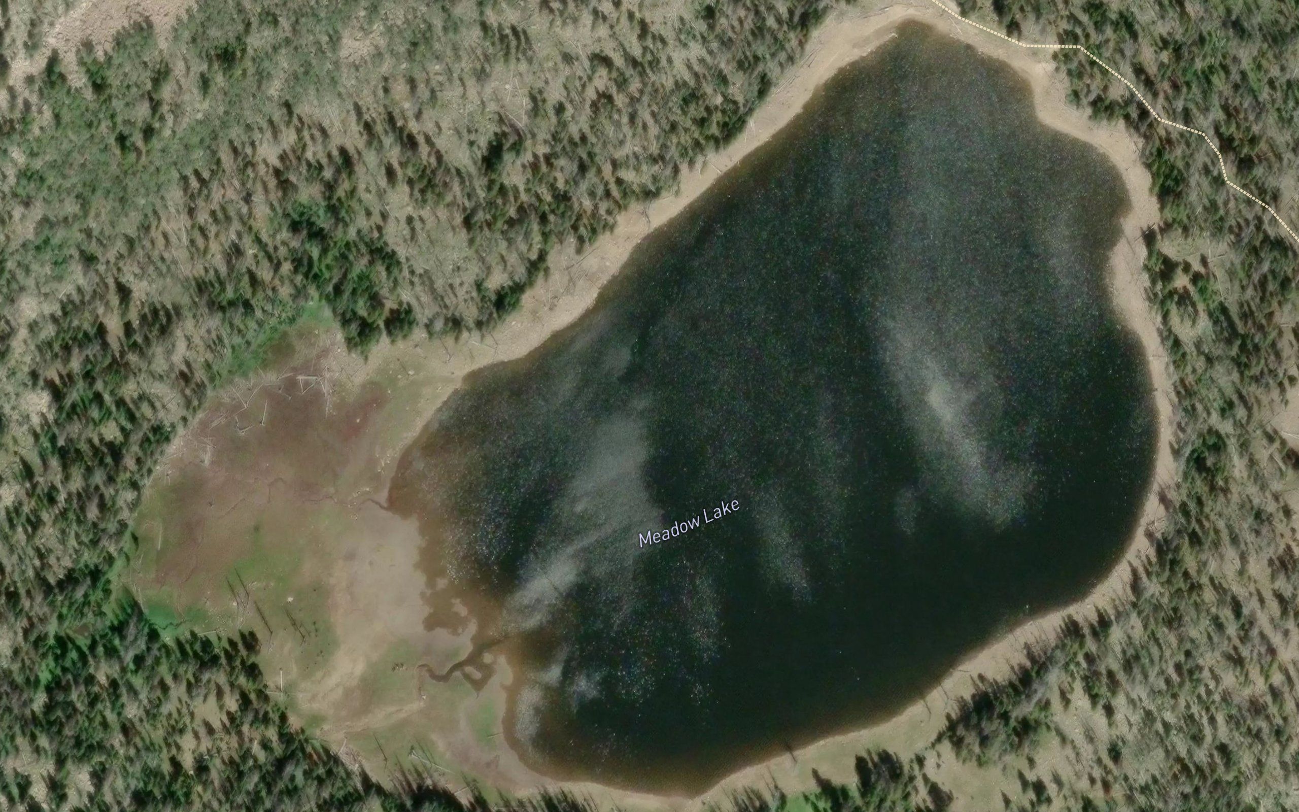 Meadow Lake