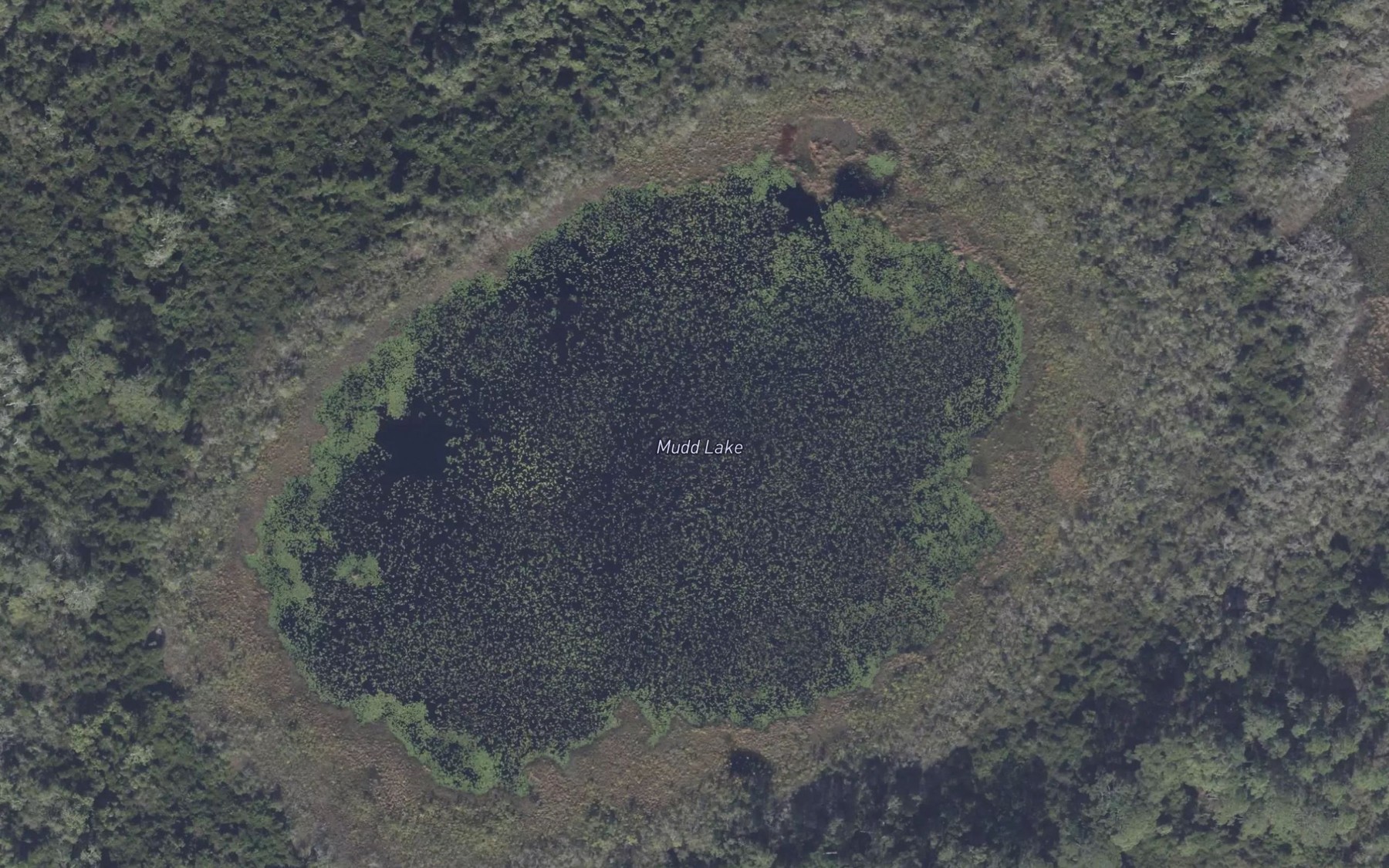 Satellite map of the Mudd Lake