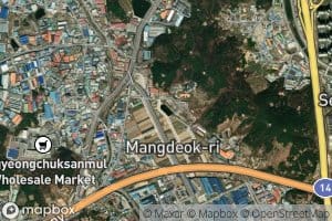 Singisoryuji