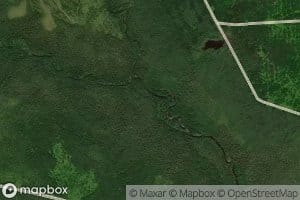 West Branch Pocwock Stream