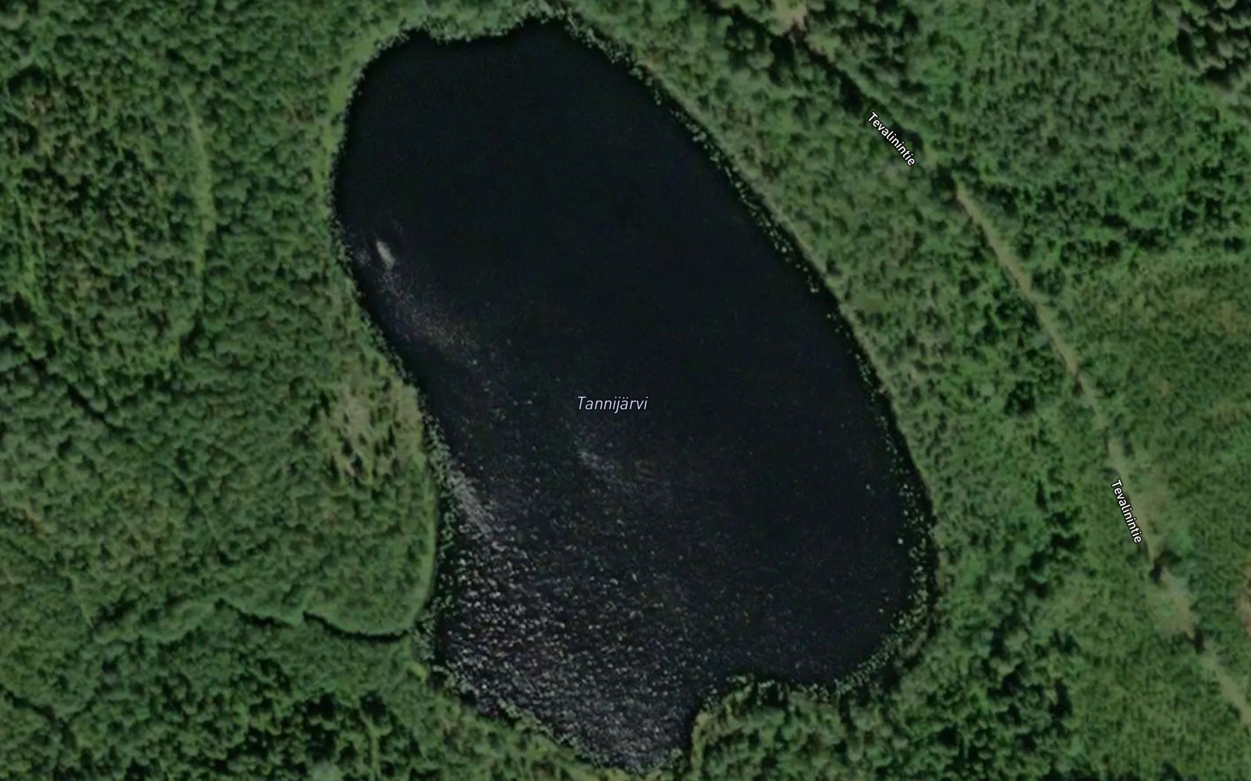 Tannijarvi