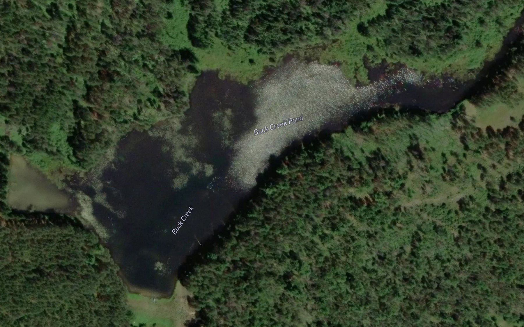 Satellite map of the Buck Creek Pond