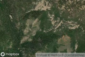 Red Bedground Spring