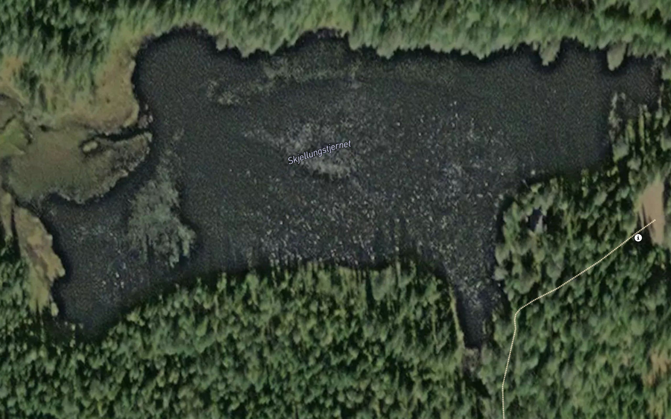 Skjellungstjern