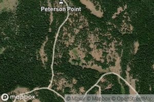 Peterson Spring