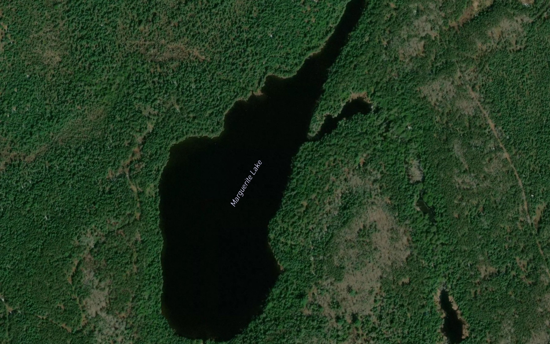 Satellite map of the Marguerite Lake