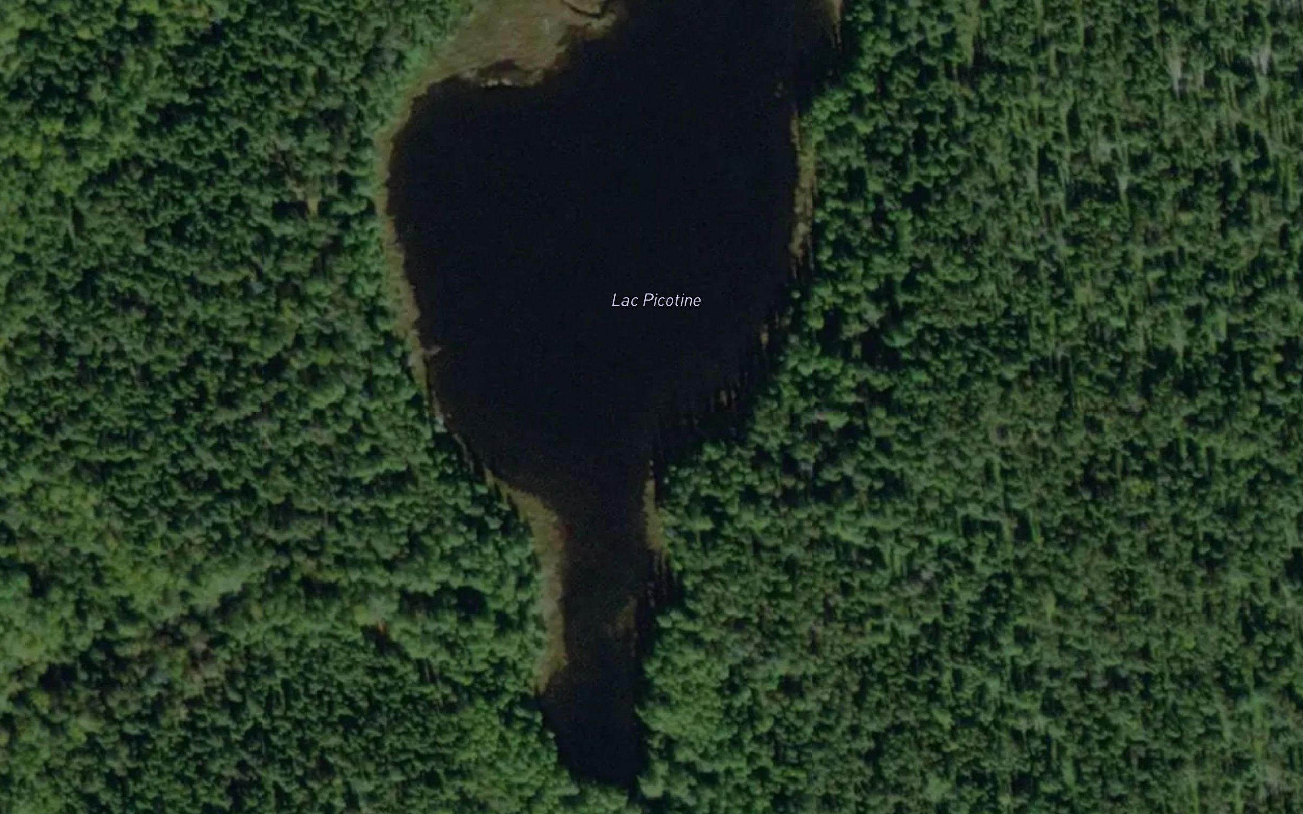 Lac Picotine