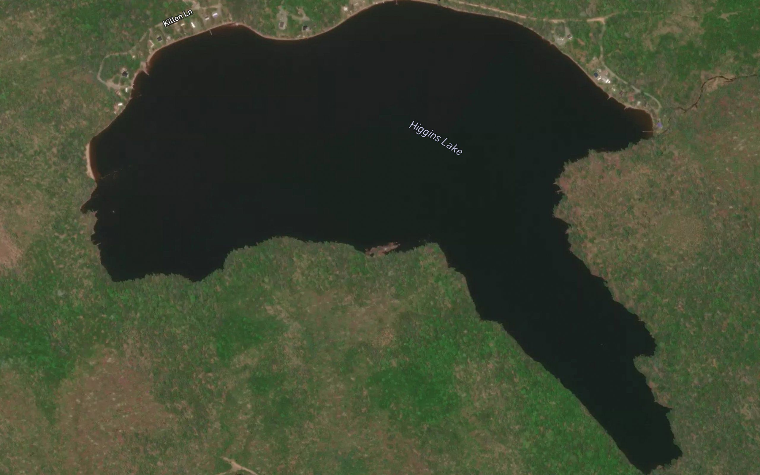 Higgins Lake