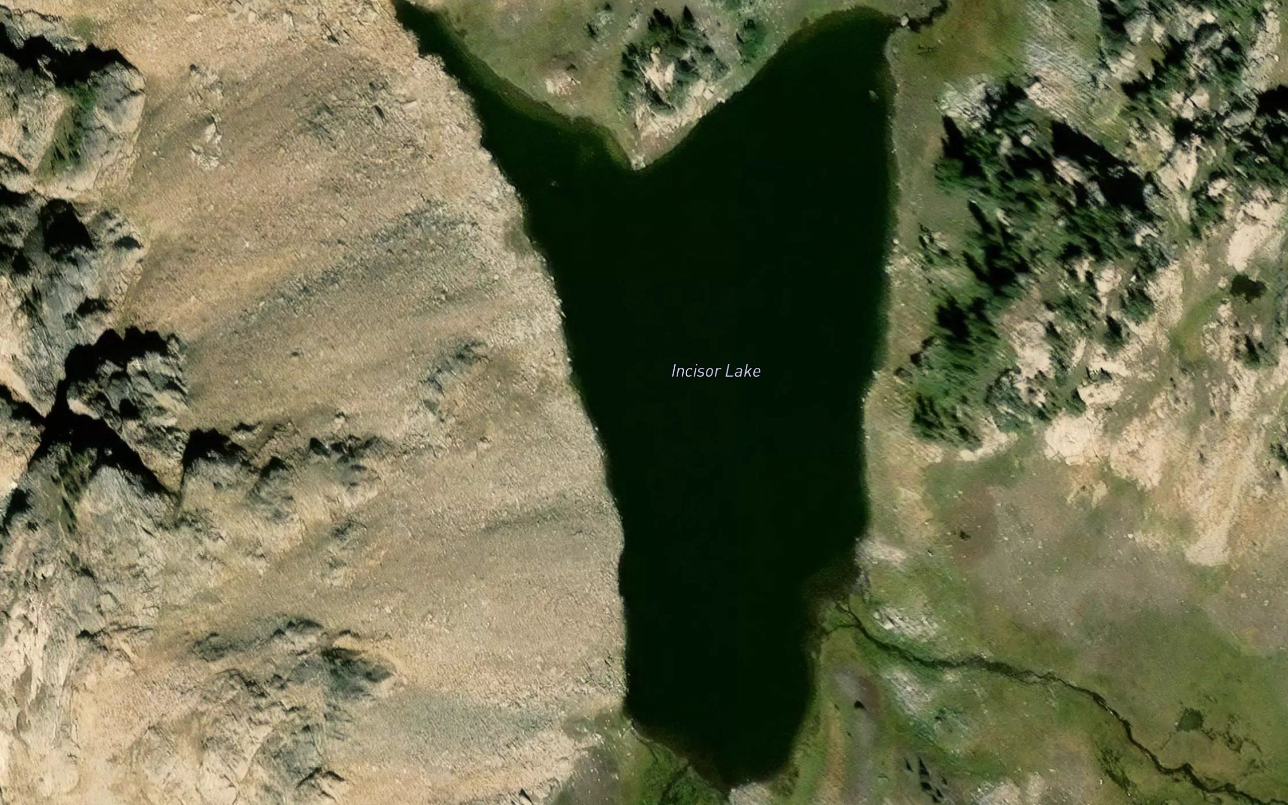 Incisor Lake