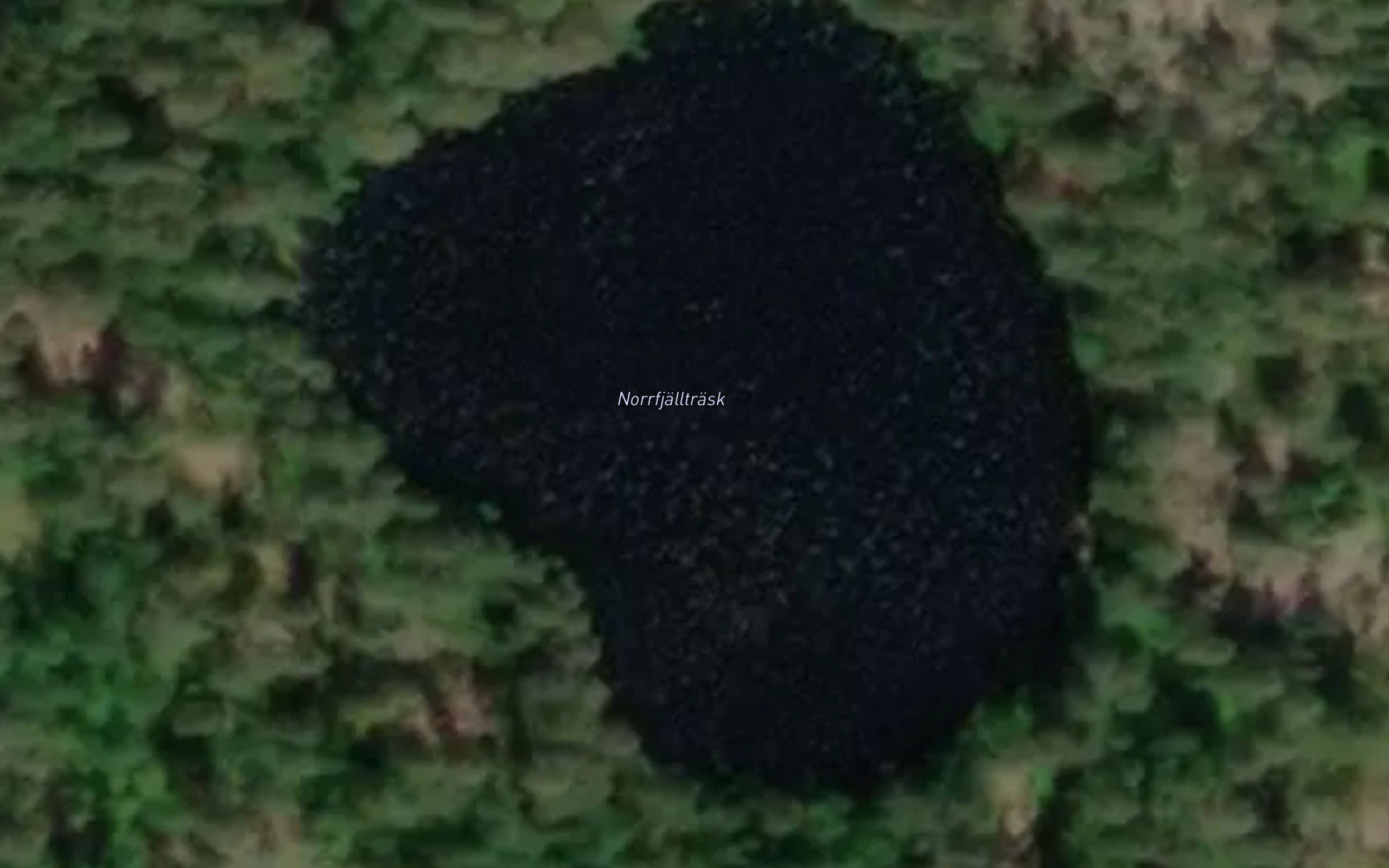 Norrfjalltrask