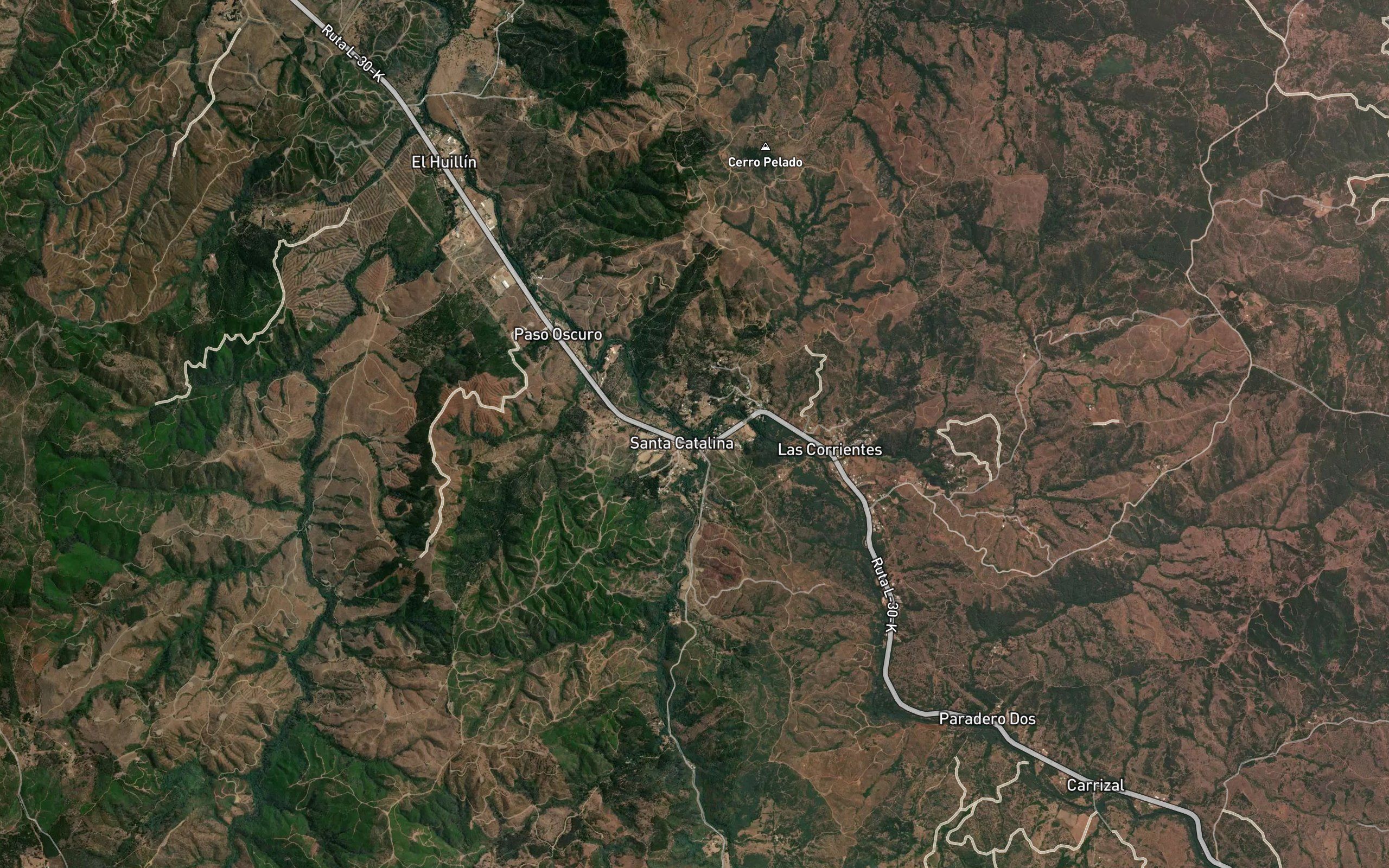 Estero Avellano