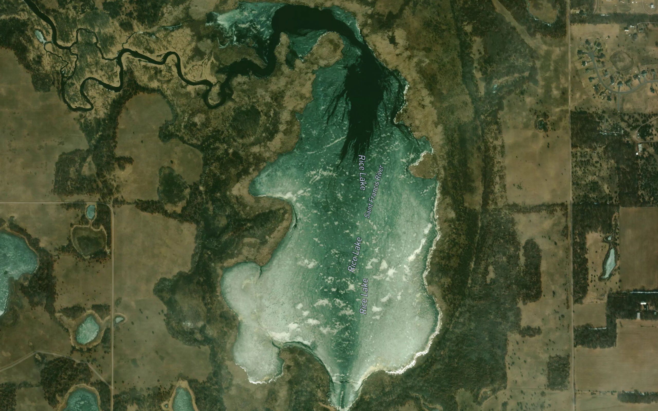 Rice Lake