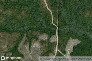 Bear Bay Branch