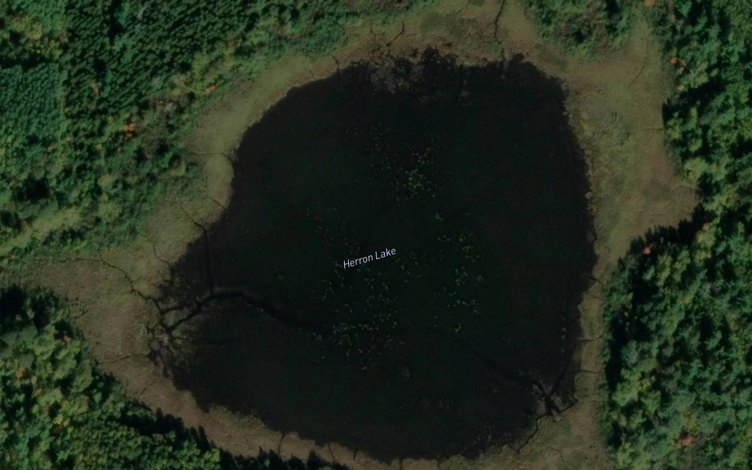 Herron Lake